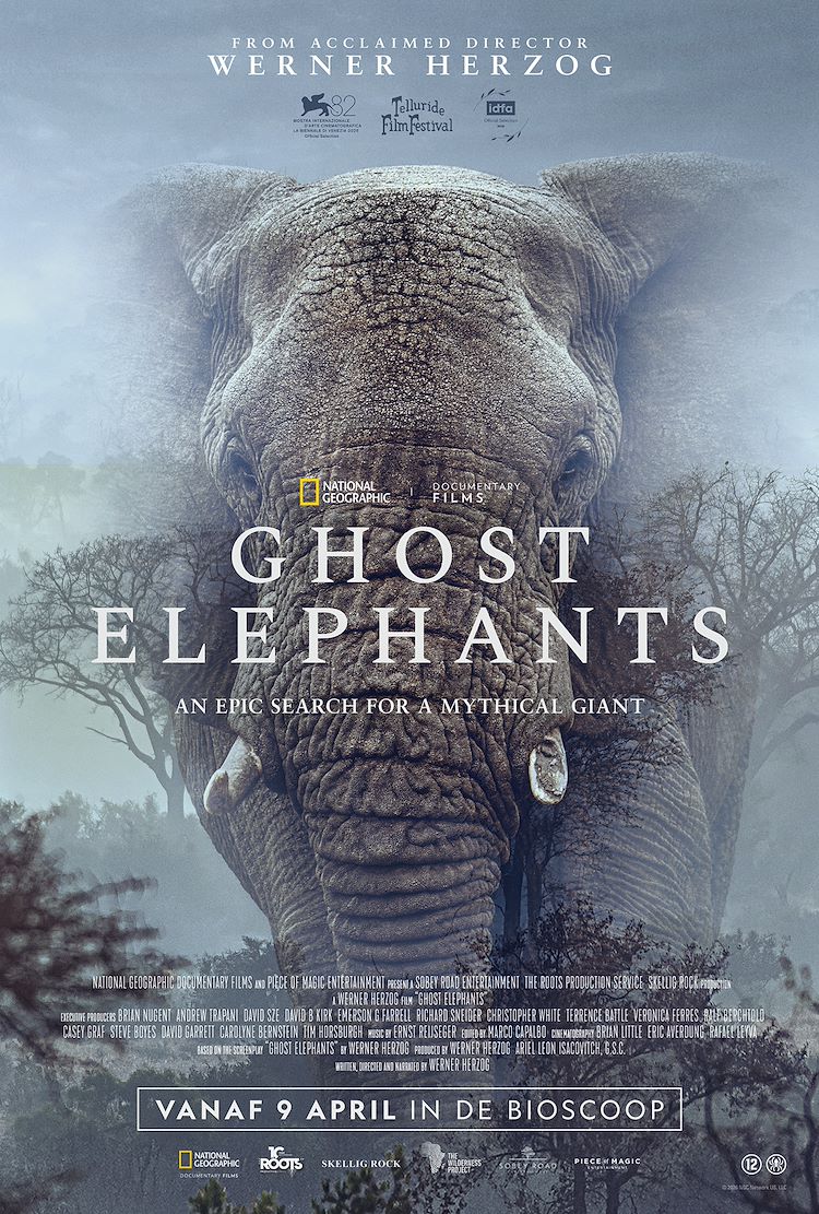Ghost Elephants